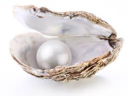 June’s Birthstone : Pearl